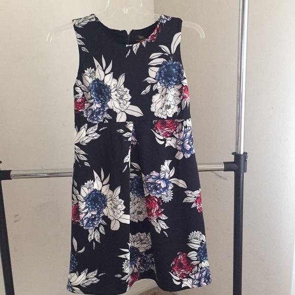 Maternity Dress by Taylor For A Pea In The Pod - Picture 1 of 6